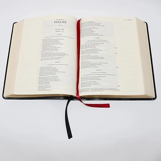 KJV Journal the Word Bible, Reflect, Journal or Create Art Next to Your Favorite Verses (Black Leathersoft over Board, Red Letter, Comfort Print: King James Version Holy Bible)