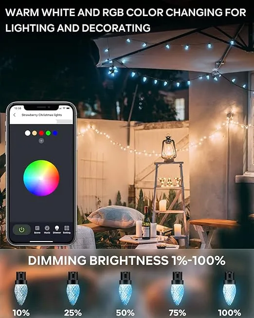 Dynamic C9 Christmas Lights Outdoor RGB, 33Ft 50 LED Smart Christmas Lights APP Remote Controlled DIY Color Changing C9 String Lights Connectable Waterproof Music Lights for Eaves Xmas Decoration